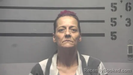 Mugshot of WENDY ALLISON TALA