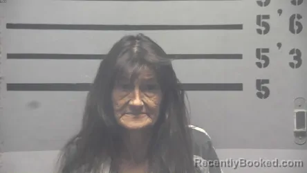 Mugshot of SHERRY SUE UPCHURCH booked in Hopkins County, Kentucky on June 29, 2026