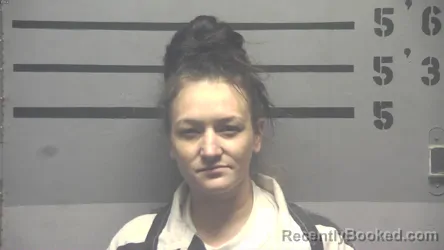 Mugshot of BRITTANY ROCHELLE VINCENT booked in Hopkins County, Kentucky on June 24, 2026