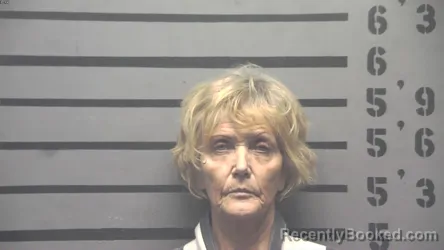 Mugshot of Debra Ann Vandygriff booked in Hopkins County, Kentucky on August 22, 2026