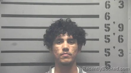 Mugshot of YANSSER VALLADARES-VALLADARES booked in Hopkins County, Kentucky on April 14, 2026