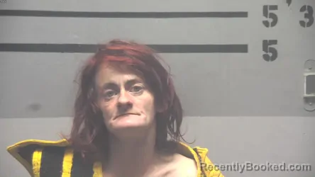 Mugshot of CHRISTINE MAY WILLIAMS