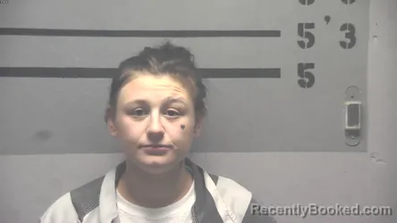 Mugshot of JODIE ELAINE WOOD booked in Hopkins County, Kentucky on June 15, 2026