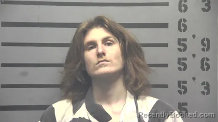 Mugshot of JAYSON JOHNS WILLIAMS