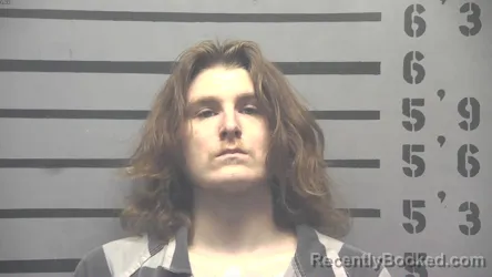 Mugshot of JAYSON JOHN WILLIAMS booked in Hopkins County, Kentucky on April 26, 2026