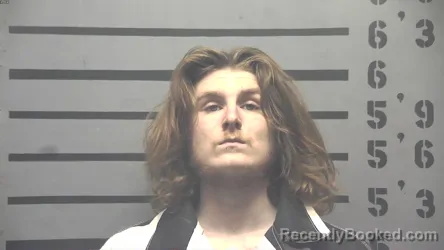 Mugshot of JAYSON JOHN WILLIAMS booked in Hopkins County, Kentucky on June 24, 2026