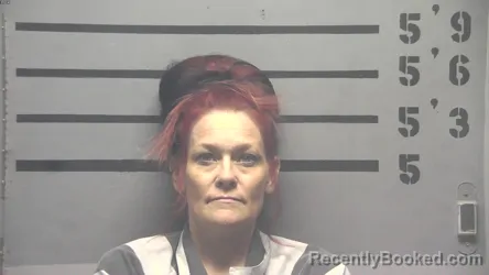Mugshot of MELISSA DIANE ZIGLER booked in Hopkins County, Kentucky on April 18, 2026