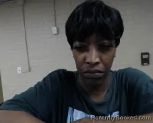 Mugshot of LAPORTIA ROSHAE WOOLARD booked in Martin County, North Carolina on April 23, 2026