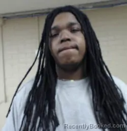 Mugshot of TAMARIC LADON WILLIAMS