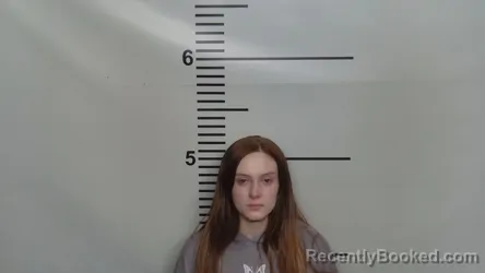 Mugshot of EMILY STYERS