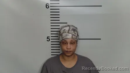 Mugshot of TORI U TINSLEY