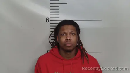 Mugshot of JORDAN MELVIN