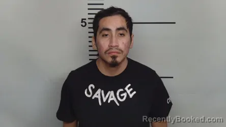 Mugshot of JESUS ROJAS LOZANO