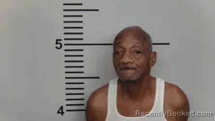 Mugshot of LARRY W JONES