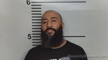 Mugshot of TOAELE ROBERT WATKINS