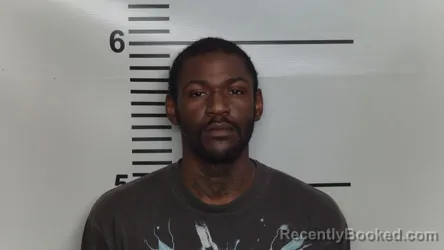 Mugshot of JA QUALE MARQUESE COLEMAN-ANDERSON