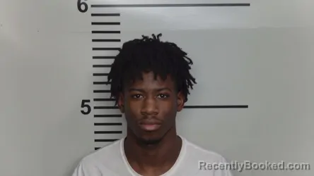 Mugshot of AVRUN L BELL