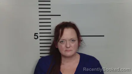 Mugshot of ERIN A FINN