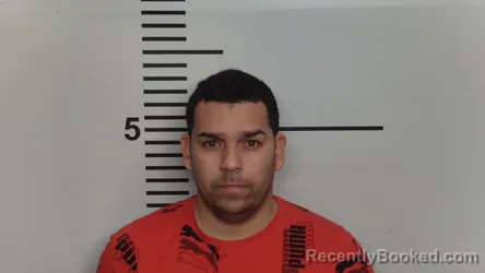 Mugshot of MIGUEL ADAME GRILLO
