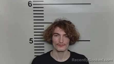 Mugshot of DAKOTA WILHITE
