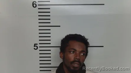 Mugshot of DY'OMINIQUE D BOLDEN