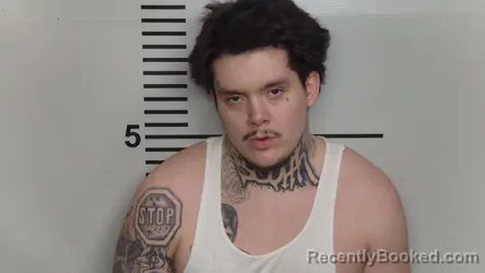 Mugshot of CAMERON A JAIMES