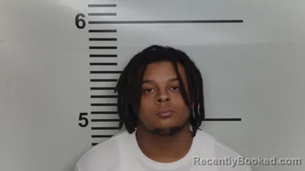 Mugshot of DEJUAN WILLIAMS