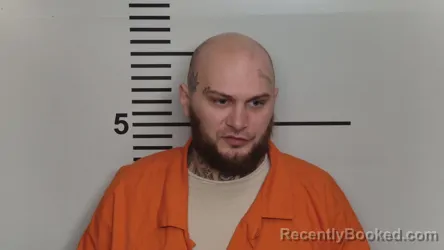 Mugshot of ROGER L HODGSON