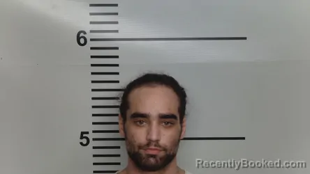 Mugshot of TEVIS BERRY