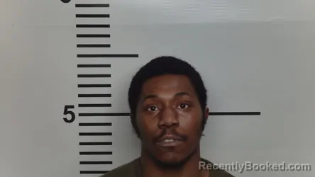 Mugshot of DENNIS D WALLACE