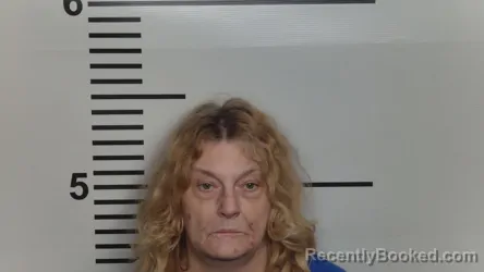 Mugshot of SHERRY JEAN SNYDER