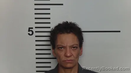 Mugshot of MICHELLE E FOSTER