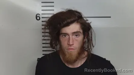 Mugshot of JAMES WAYNE COTTON