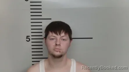 Mugshot of JUSTIN T LEAR