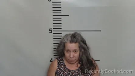 Mugshot of REGINA DAWN CUMMINGS
