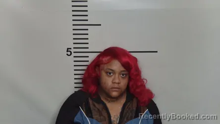 Mugshot of EARLISHA CARR