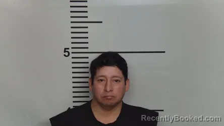 Mugshot of RAUL VICTORINO GOMEZ CHAVEZ