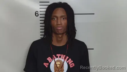 Mugshot of JADEN H EVANS