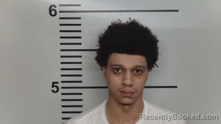Mugshot of JAMONIE M PARHAM