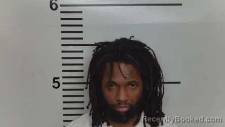 Mugshot of LEONARD D BROWN