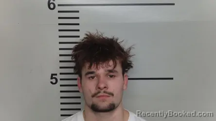 Mugshot of TYLER ELLISON