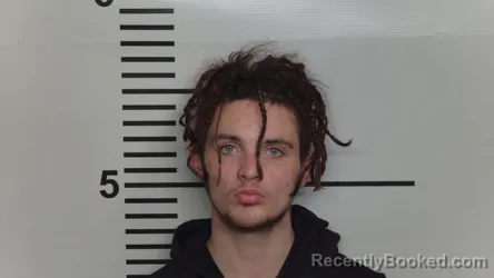 Mugshot of BRANDON LEWIS