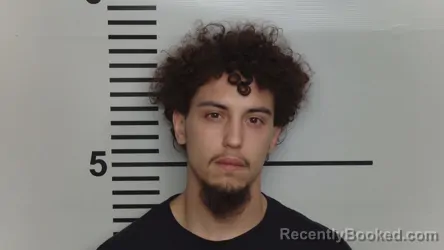 Mugshot of BRYSON BARBER