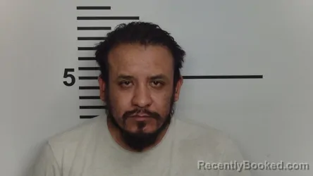Mugshot of ERICK ALAN CANALES MENESES