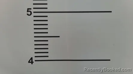 Mugshot of LAURA HARVEY