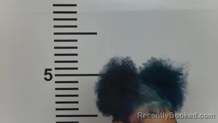 Mugshot of JASMINE KINCAID KIMBROUGH