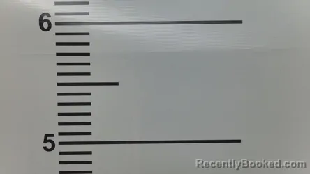 Mugshot of LESLIE SPENNEBERG