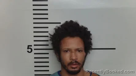 Mugshot of LOGAN T JEWELL