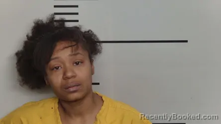 Mugshot of LASHELLE L GREEN