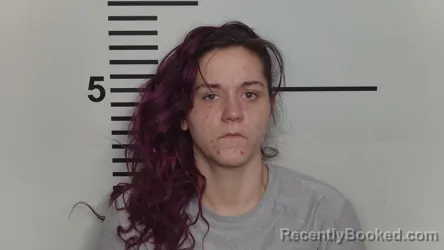 Mugshot of VICTORIA LANE BRITTON